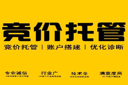 百度推广运营实战技巧：案例解析与实战